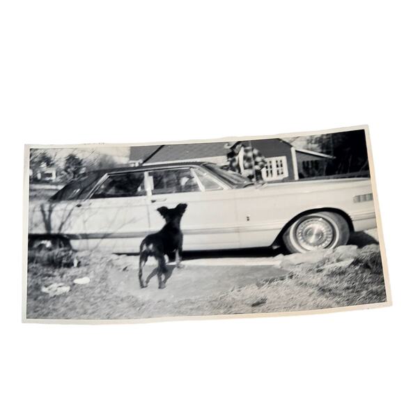 Lot of 3 Vtg B & W 1960s Photos Car Vehicle Parked in Driveway Snapshot Dog Lady - Picture 3 of 7